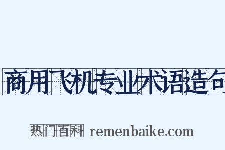 商用飞机专业术语造句是什么意思的图片